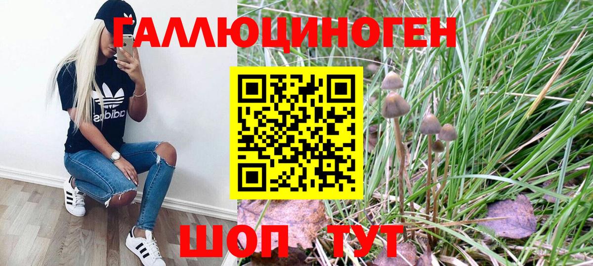 Югорск  Псилоцибиновые грибы GOLDEN TEACHER  Вход с VPN 