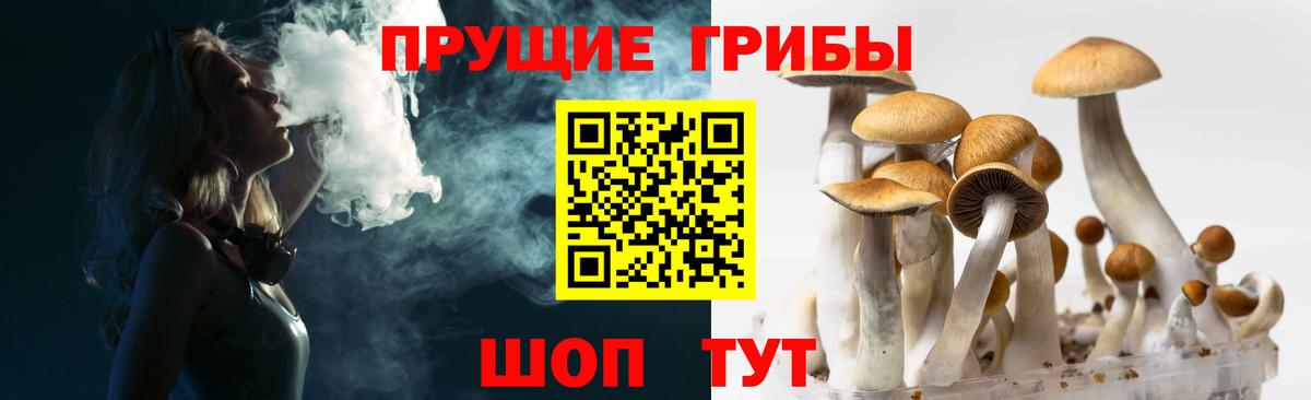 Галлюциногенные грибы GOLDEN TEACHER Югорск